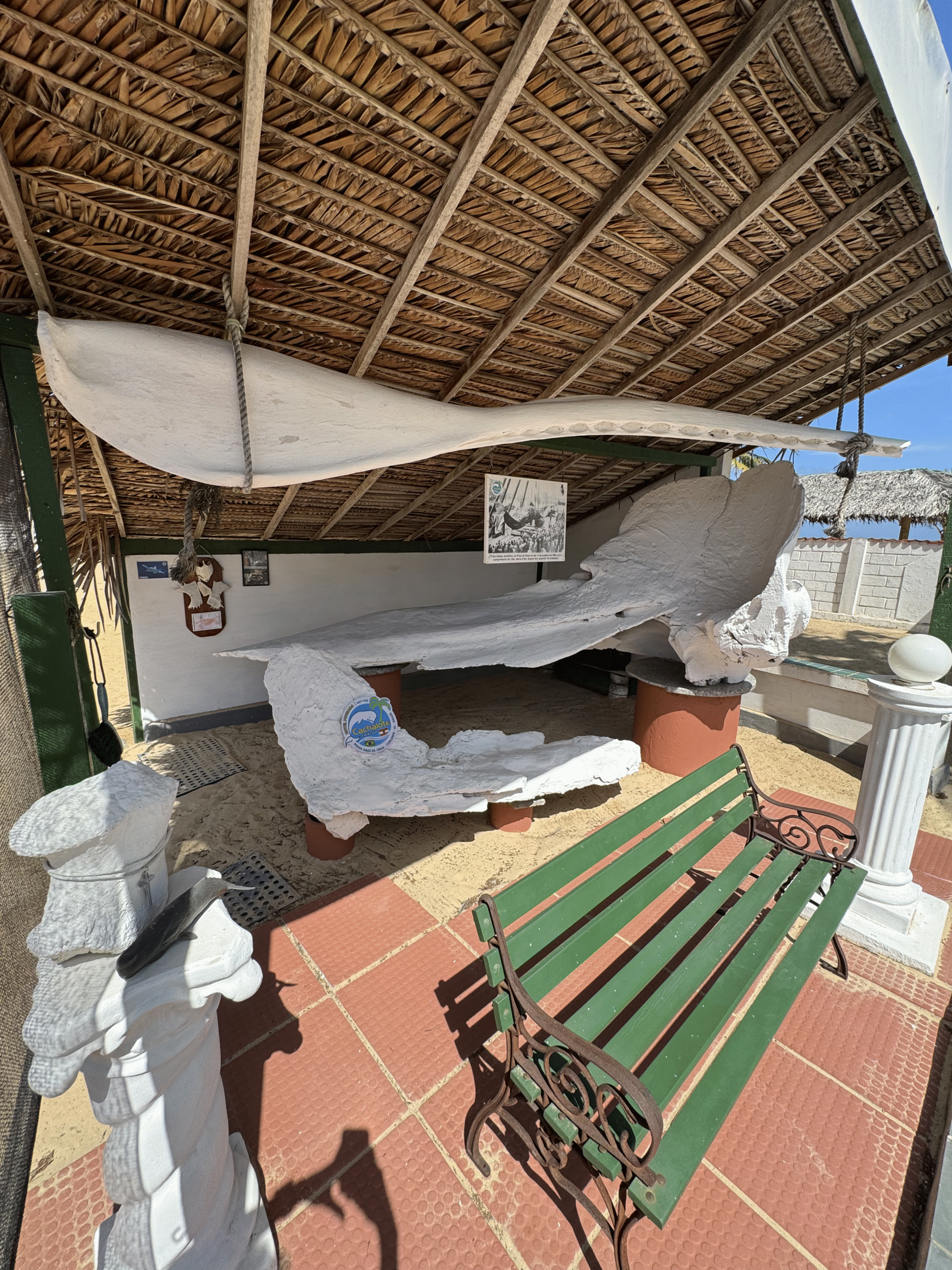 Pousada Cachalote - Área Verde