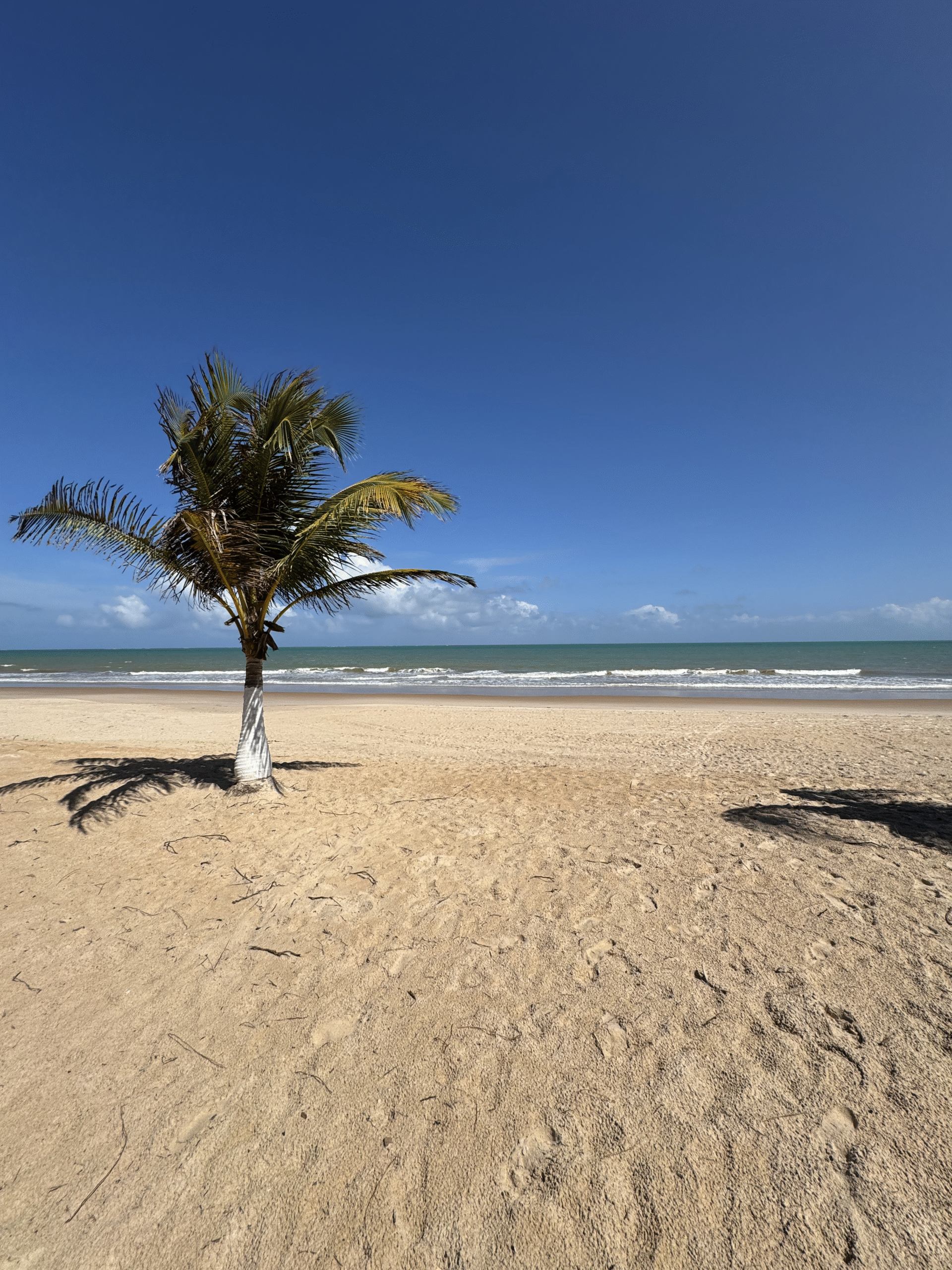 Hotel Pousada Cachalote - Fachada