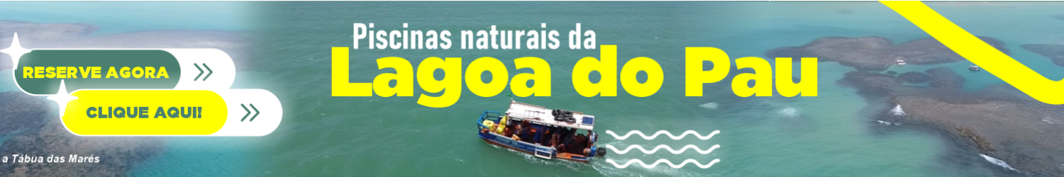 Banner Publi Piscina